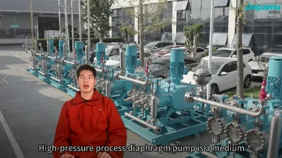 Depamu High Pressure Process Reciprocating Pump Corrosion Resistance